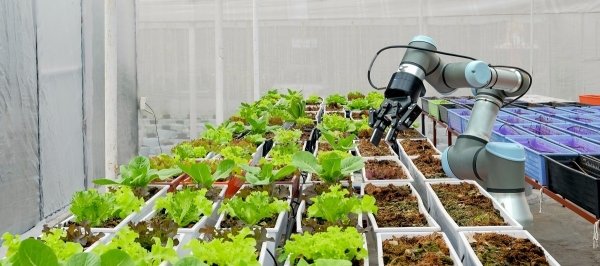 У залізних руках: новинки роботів сільського господарства